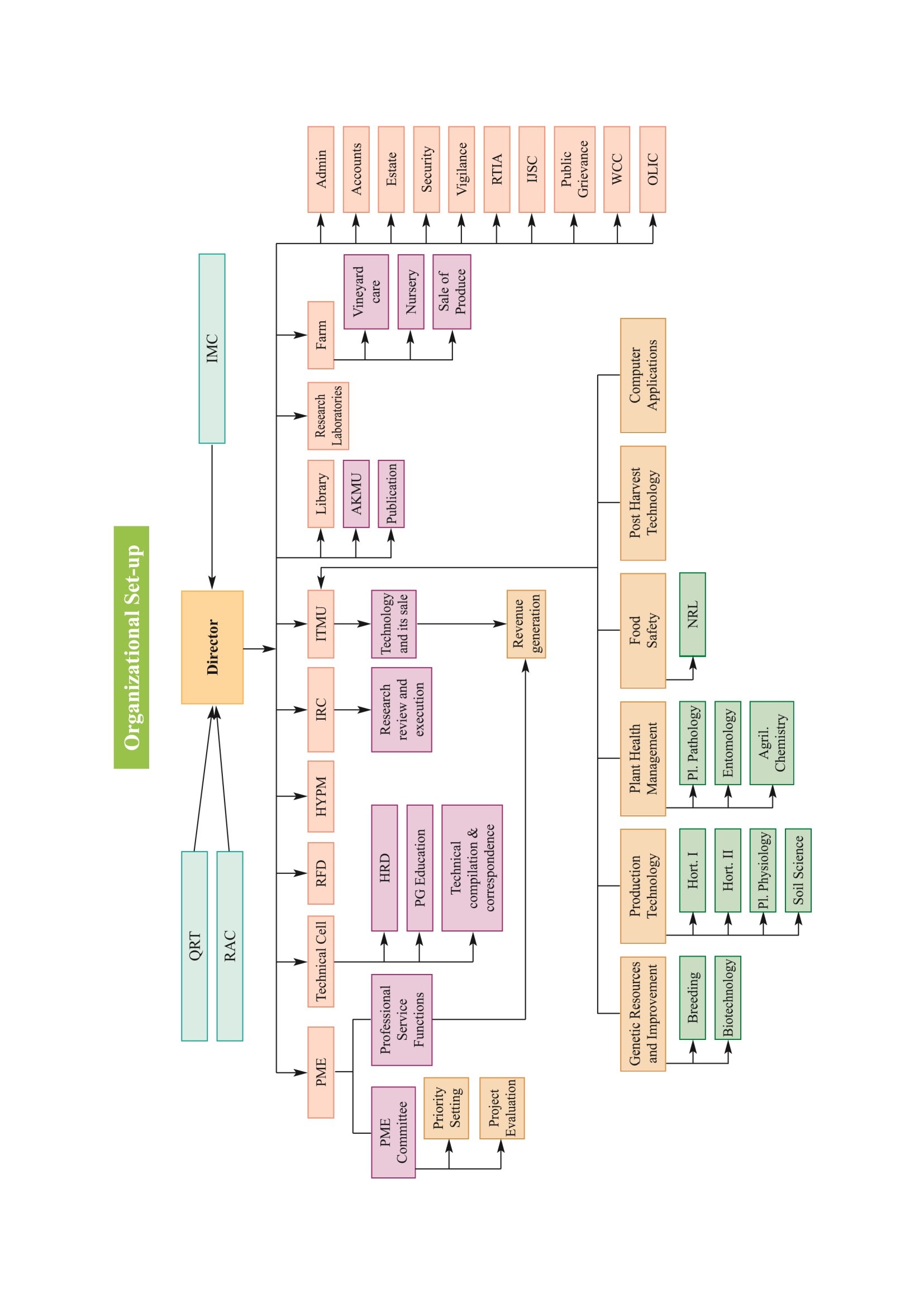 Organization Chart